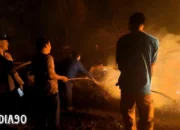 Bukit di Pagelaran Pringsewu Terbakar Melalui Metode Membakar Lahan oleh Warga