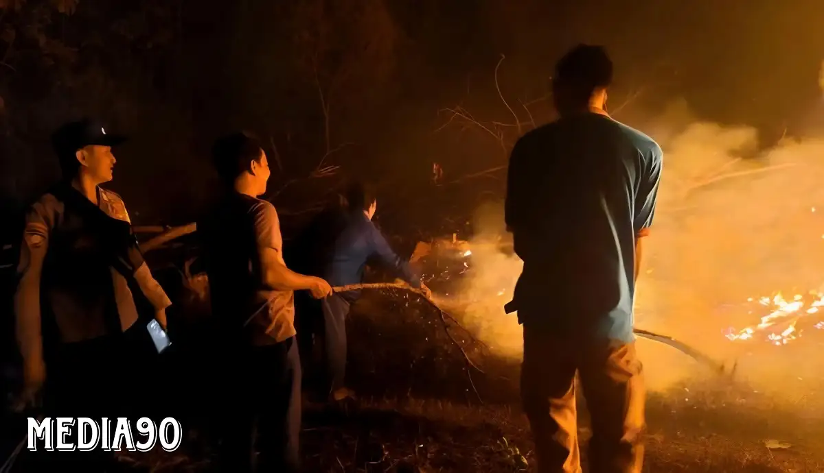 Warga Buka Lahan dengan Membakar, Bukit di Pagelaran Pringsewu Terbakar Hebat