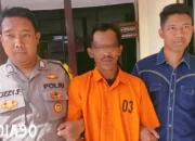 Kisah Tak Biasa: Pencuri Gabah ‘Beraksi’ Enam Kali, Berakhir dalam Penangkapan Dramatis di Ambarawa Pringsewu Setelah Sebulan Berburu