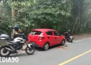 Kejar-kejaran Seru di TNBBS: Pelaku Pencuri Viral Tabrak Polisi, Polisi Buru Kaburnya di Ngambur Pesisir Barat