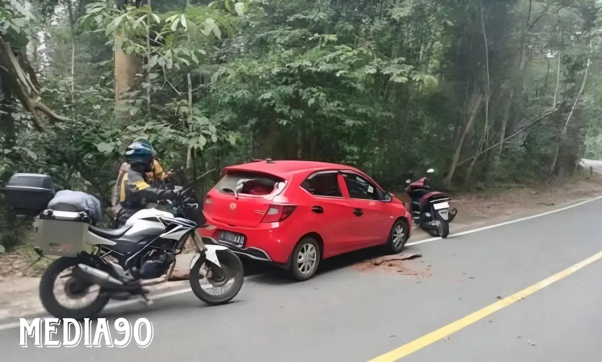 Kabur ke TNBBS, Polisi Buru Pelaku Pencuri di Ngambur Pesisir Barat yang Viral Tabrak Polisi di Jalan
