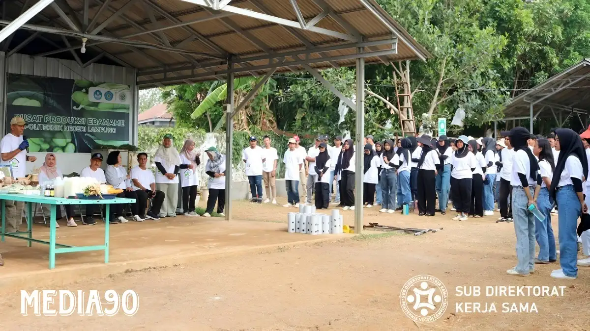Lestarikan Lingkungan, Polinela Galakan Gerakan 1000 Biopori
