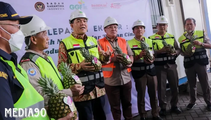Nanas dan Perikanan Lampung Menguasai Pasar Global: Ekspor ke Tiongkok, Amerika, dan Jepang Melejit!