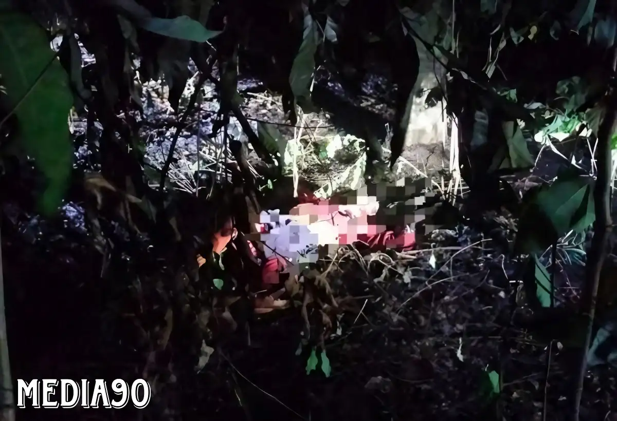 Pamit Tengok Tanaman Cabai, Petani di Labuhanratu Lampung Timur ini Tewas Terbakar di Kebun