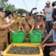 Panen Udang di Tulang Bawang, Gubernur Arinal Dorong Pertambakan Udang di Lampung