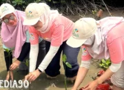 Inisiatif Hijau PLN: 10.000 Pohon Mangrove Ditanam di Cuku NyiNyi Lampung untuk Memperingati Hari Menanam Pohon Indonesia