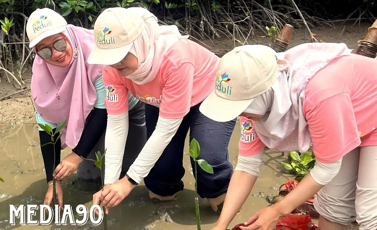 Peringati Hari Menanam Pohon Indonesia, PLN Tanam 10.000 Pohon Mangrove di Ekowisata Cuku NyiNyi Lampung