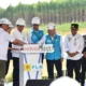 Presiden Jokowi Groundbreaking Pembangunan PLTS PLN 50 MW di IKN Nusantara, Hadirkan 100% Energi Bersih