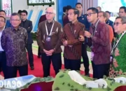 Presiden Jokowi Hadiri WHC 2023, Paparan Direktur Utama PLN Tentang Energi Hydropower di Indonesia