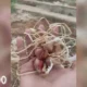 Prodi Hortikultura Polinela Kembangkan Varietas Bawang Merah Unggul Berdaya Hasil Tinggi