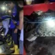 Resahkan Warga, Buaya Ukuran 3 Meter Berhasil Ditangkap Damkarmat di Kampung Koala Bandar Lampung