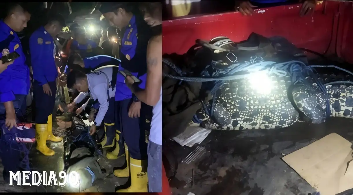 Resahkan Warga, Buaya Ukuran 3 Meter Berhasil Ditangkap Damkarmat di Kampung Koala Bandar Lampung