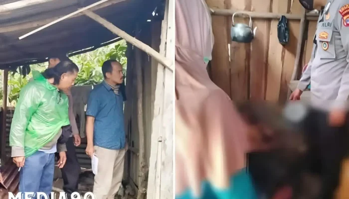 Kisah Tragis di Kebun Kopi Sumberjaya Lampung Barat: Konflik Suami Istri yang Berujung pada Cedera Fatal dan Kehilangan