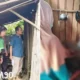 Suami Istri Cekcok di Kebun Kopi Sumberjaya Lampung Barat, Istri Hamil Luka di Perut dan Sang Suami Tewas