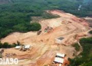 Kelalaian Lingkungan: Walhi Mendorong Penghentian Land Clearing Pabrik Sawit PT PSM Way Kanan Tanpa Amdal dan Izin