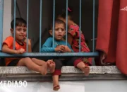 Krisis Kemanusiaan di Gaza: WHO Memperingatkan Kebutuhan Mendesak akan Bantuan