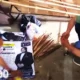 APK Anak Wali Kota Disiapkan di Kantor Kelurahan, APD Minta Bawaslu Supervisi Penyelenggara Pemilu Bandar Lampung