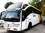 Damri Lampung Siap Menghadapi Arus Mudik Nataru dengan Menyiapkan 53 Bus Baru, Tarif Naik 5-10% Mulai Tanggal Tertentu