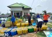 Sukses Menghadapi Tantangan: Petambak Bumi Dipasena Abadi Raih Panen 6 Ton Meski Banyak yang Gagal, Simak Strateginya!