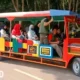 Biaya Mahal, Wisatawan Kecewa Datangi Taman Nasional Way Kambas Lampung Timur
