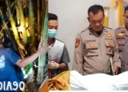 Tragis! Petani di Sudimoro Semaka Tanggamus Meninggal di Bawah Pohon Bambu, Diduga Akibat Sakit