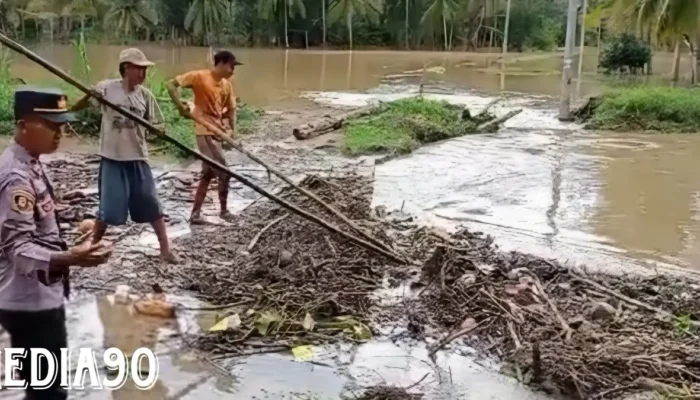 Banjir Melanda Semaka Tanggamus: 149 Rumah Terendam dalam Derita Dua Hari Hujan Deras, Tanggul Jebol, Jembatan Putus