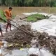 Dua Hari Hujan Deras, 149 Rumah Terendam Banjir di Semaka Tanggamus, Tanggul Jebol Jembatan Putus