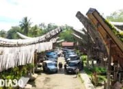 Mercedes Adventure: Eksplorasi Wisata Sulawesi Bersama Anggota, Berkumpul dan Berbagi Pengalaman Seru!