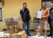 Upaya Penyelundupan 190 Burung Kicau Terhenti: Frustasi di Pelabuhan Bakauheni dari Tulangbawang Barat menuju Jakarta Timur