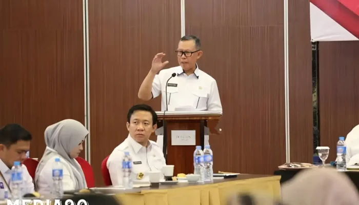 Mendorong Penguatan Akses Keuangan Daerah: Sekdaprov Fahrizal Darminto Hadiri Rapat Pleno TPAKD