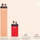Survei Cyrus Network, Elektabilitas Prabowo-Gibran di Lampung 56,9%, TKD Targetkan Raih Suara 70%