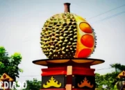 Antisipasi Keterlambatan Panen: Durian Siap Menggoda Pencinta Buah Mulai Pertengahan Januari 2024 di Bandar Lampung