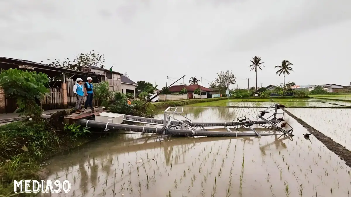 Cuaca Ekstrem Meningkat di Lampung, PLN Minta Masyarakat Tingkatkan Kewaspadaan Keamanan Listrik