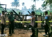 Insiden Korsleting Terindikasi, Kandang Ayam di Sukoharjo Pringsewu Dilalap Api, Rugi Materi Mencapai Rp265 Juta