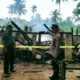 Diduga Korsleting, Kandang Ayam di Sukoharjo Pringsewu Ludes Terbakar, Kerugian Rp265 Juta