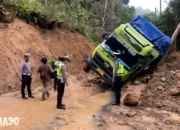 Longsor Paralisis Jalan Liwa-Krui: Truk Terperangkap Mengubah Jalur, Arus Lalu Lintas Dialihkan di Lampung Barat-Pesisir Barat