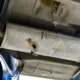 Knalpot Mobil Keluar Air Wajar Atau Rusak
