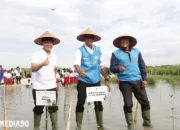 Upaya Hijau PLN: Penanaman 283.739 Pohon oleh Sektor Lingkungan Tahun 2023