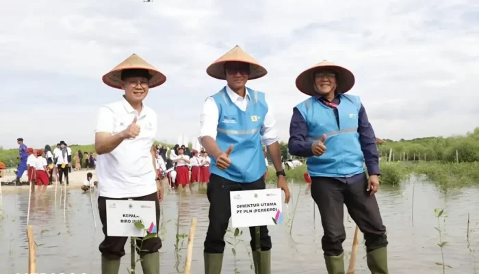 Upaya Hijau PLN: Penanaman 283.739 Pohon oleh Sektor Lingkungan Tahun 2023