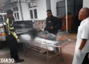 Kecelakaan Tragis di Pugung Tanggamus: Pardasuka Pringsewu Menjadi Korban Tabrakan Antara Truk dan Motor Tengah Malam