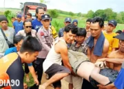 Tragedi Sungai Kalimiring: Remaja Menggala Selatan Ditemukan Tak Bernyawa di Wonokerto Tulangbawang Barat