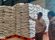 KPPU Ungkap Produsen Berhenti Pasok Beras ke Ritel Moderen di Lampung Akibat Kelangkaan