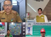 Mengilas Kembali Jejak Alumni: Meretas Masa Depan Bersama Program Studi Teknik Lingkungan Universitas Malahayati