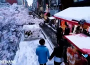 Sora: Pesona AI Video dari OpenAI yang Siap Menantang Lumiere