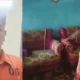 Pukul Warga Sribhawono Lampung Timur Hingga Luka Gegara Angsuran, Penagih Hutang ini Diangkut Polisi