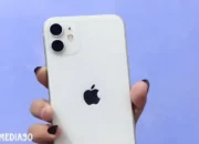 Ini Dia! Pembaruan iOS 17.4 Terbaru dari Apple: Fitur yang Diperbarui & Panduan Unduhnya