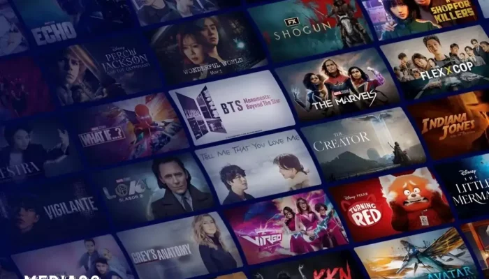 Petunjuk Praktis: Men-Download Konten Disney Plus untuk Ditonton Tanpa Koneksi Internet