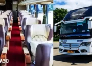 Mudik Lebaran: Damri Lampung Resmi Buka Pemesanan Tiket dengan Penyesuaian Tarif, Simak Persentase Kenaikan dan Tanggalnya!