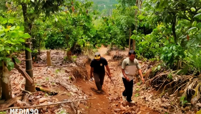 Belum Tertangkap: Enam Kandang Jebak di Suoh dan BNS Lampung Barat untuk Tangkap Harimau Pemangsa Warga