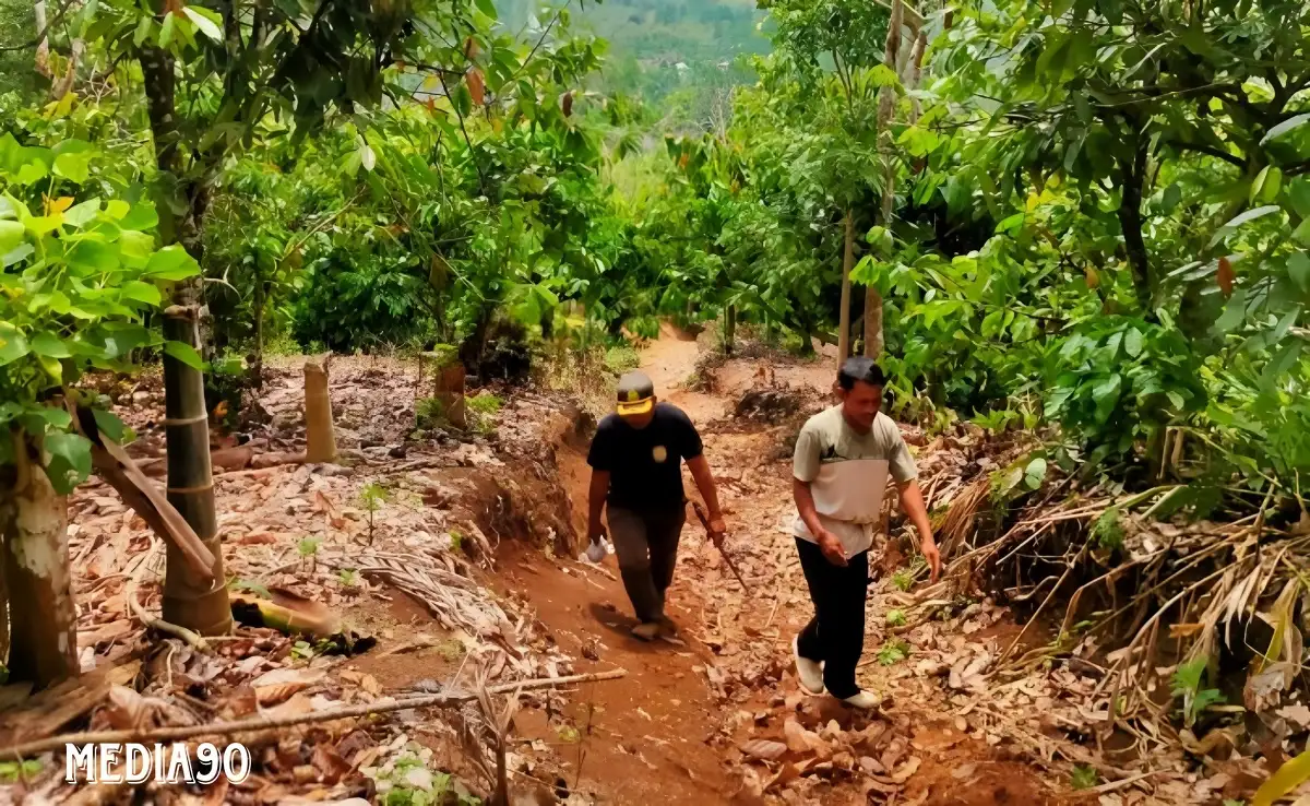 Enam Kandang Jebak Dipasang di Suoh dan BNS Lampung Barat, Harimau Pemangsa Warga Belum Tertangkap